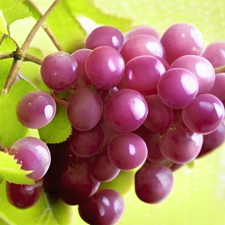 Сон Кишмиш (виноград).