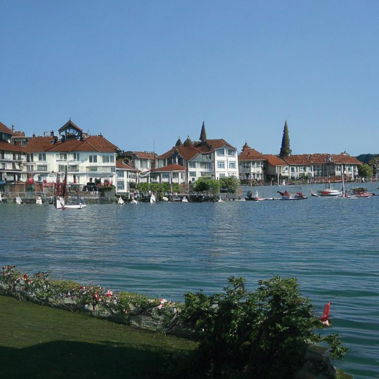 Сон Морж